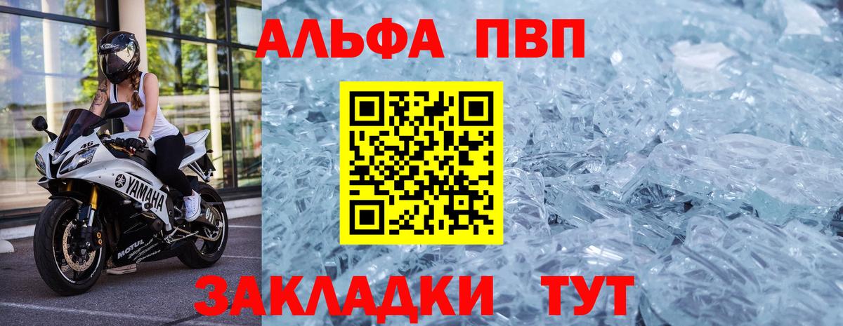 Альфа ПВП СК КРИС Куйбышев