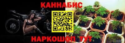 jwh Кандалакша