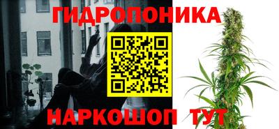 круглые Камышлов