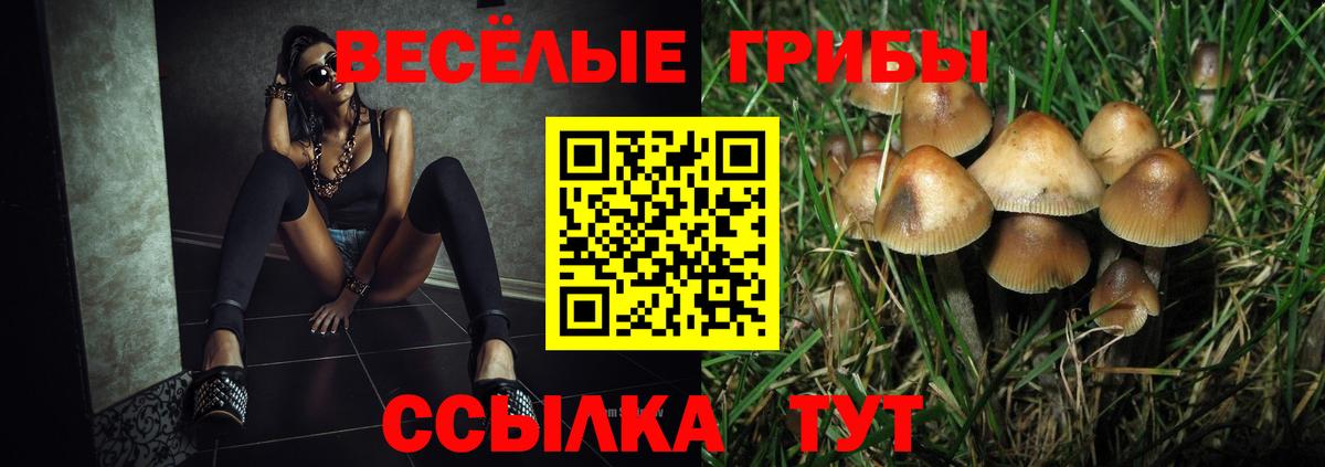 Куйбышев  Псилоцибиновые грибы Psilocybine cubensis  Вход с VPN 